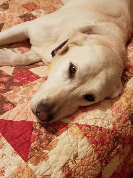 Gretta