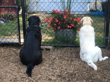 Benny and Shelby