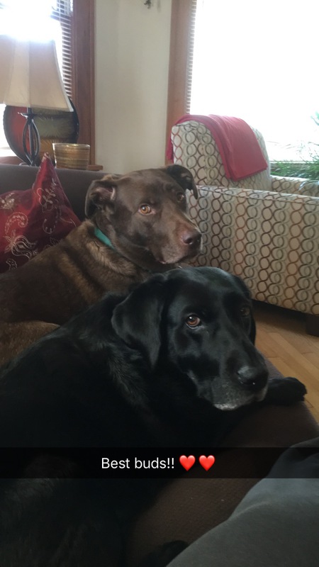 Hershey & Lily