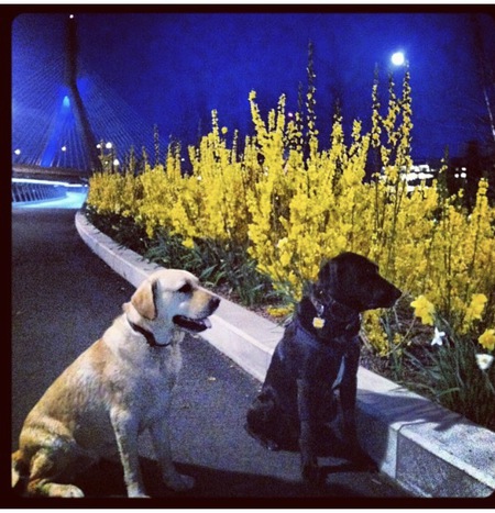 Solly and Daisy 