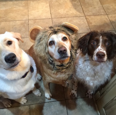 Truvy, Patsy, and Doc