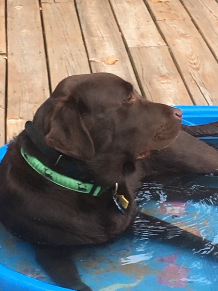 Beau