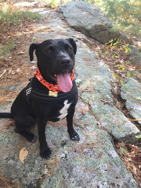 Kona