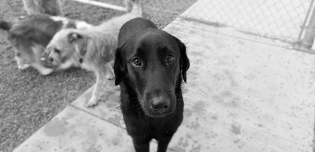 Molly