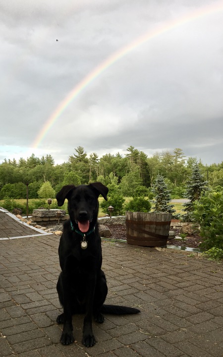 Tucker