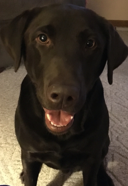 Maverick