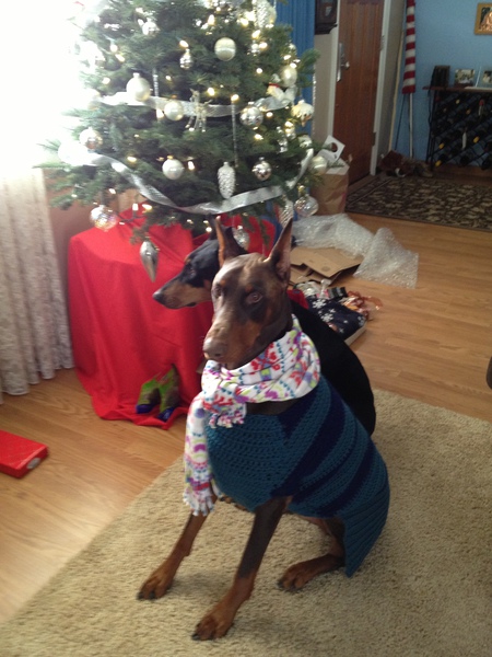Bailey