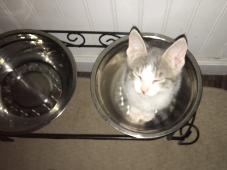 Minnie Pearl
