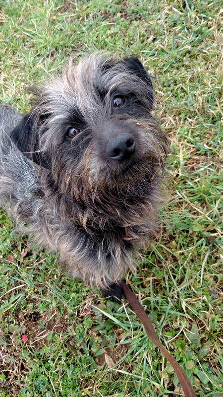 Ralphie