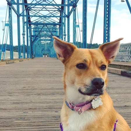 Nala