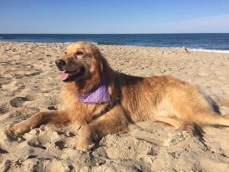 Entry image for Maeby. Clicking this image will show a larger photo