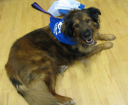 Entry image for Mosely. Clicking this image will show a larger photo