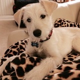 Entry image for ELLIE