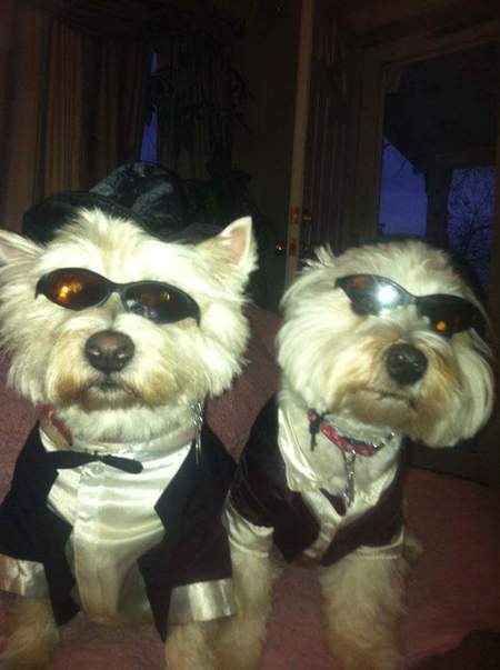 Entry image for Frosty and Dasher . Clicking this image will show a larger photo