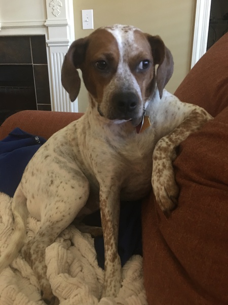 Entry image for Freckles . Clicking this image will show a larger photo