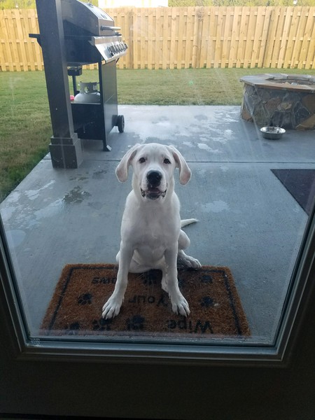 Entry image for Nyla. Clicking this image will show a larger photo