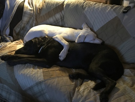 Entry image for Nyla and Ovie. Clicking this image will show a larger photo