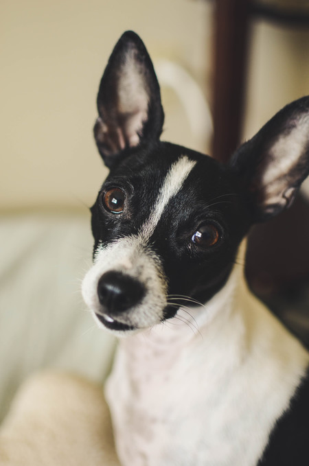 Señor Lúpe