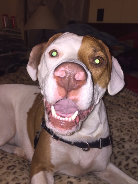 Pete