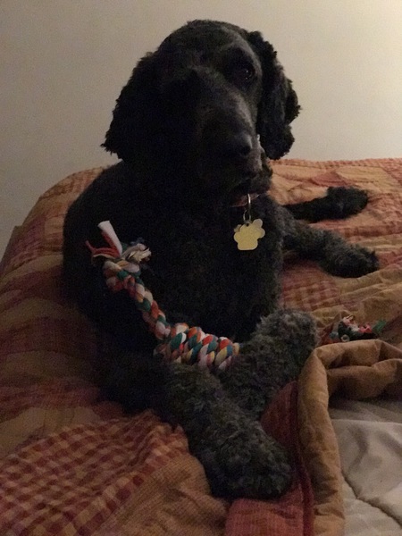 Parker