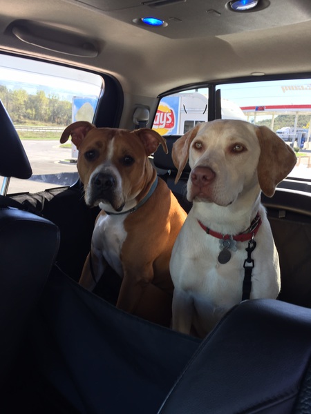 Zorro and Jessie