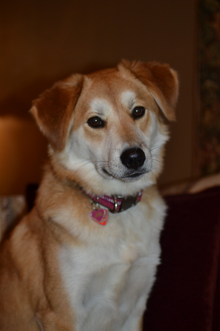 Gracie