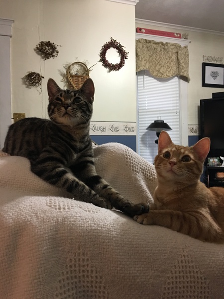 Remmy and Riley