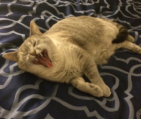 Lucy