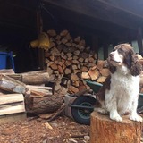Entry image for Farley 