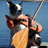 Entry image for Miss Bailey