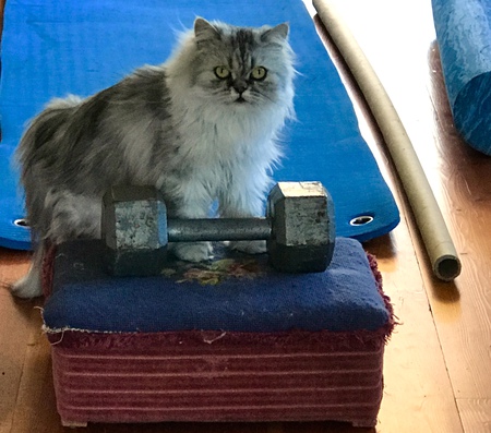 Entry image for Maggie. Clicking this image will show a larger photo