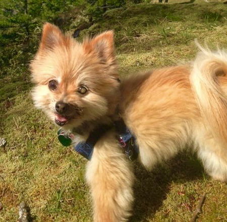 Entry image for Bebe. Clicking this image will show a larger photo