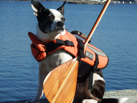 Entry image for Miss Bailey. Clicking this image will show a larger photo