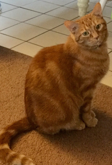 Max