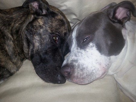 Starbuck & Gandalf