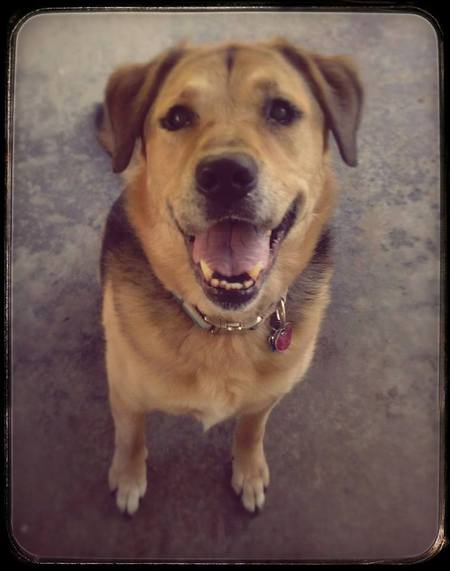 Princess "Baby" Buttercup