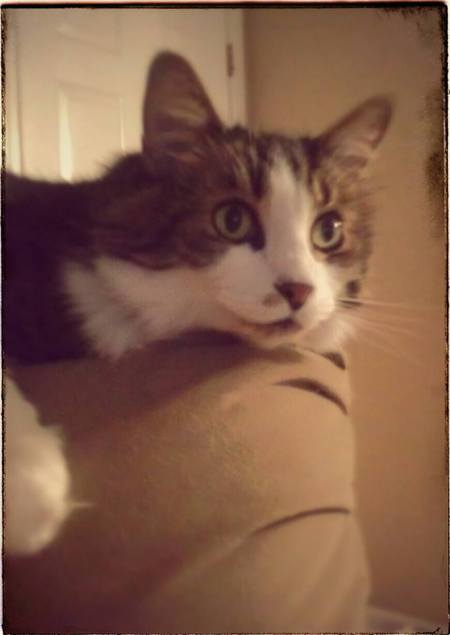 Samson