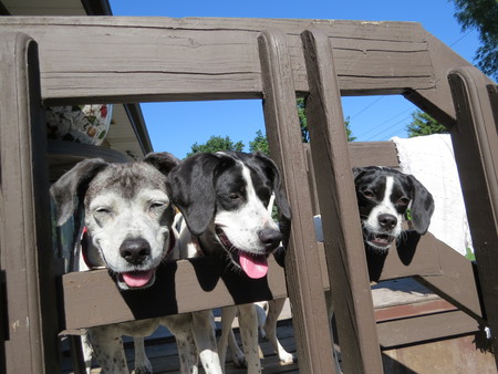 Buckwheat, Teenie & Weenie