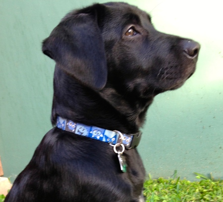 Jack