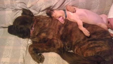 Suki and Archie