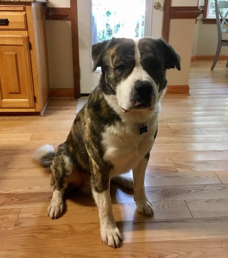 Roscoe