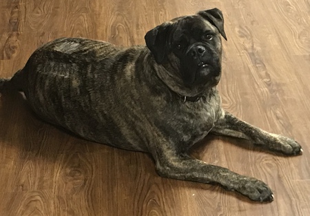 FrancO