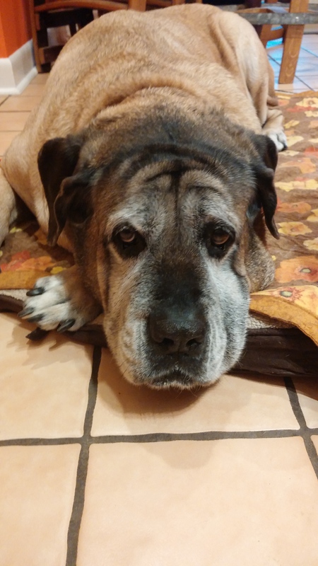 Lexi