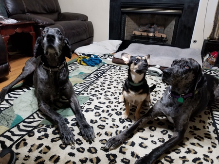 Simon, Bridget & River