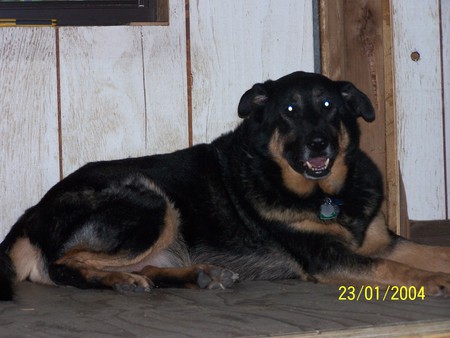 Kody