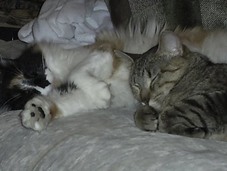 Maya and Shay