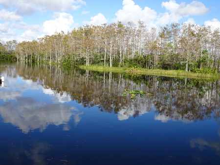 Natural Reflections