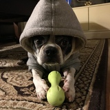 Entry image for Dexter