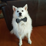 Entry image for Alaska