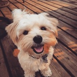 Entry image for Lucy 